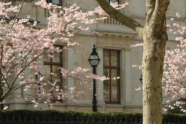Springtime in London Springtime in London