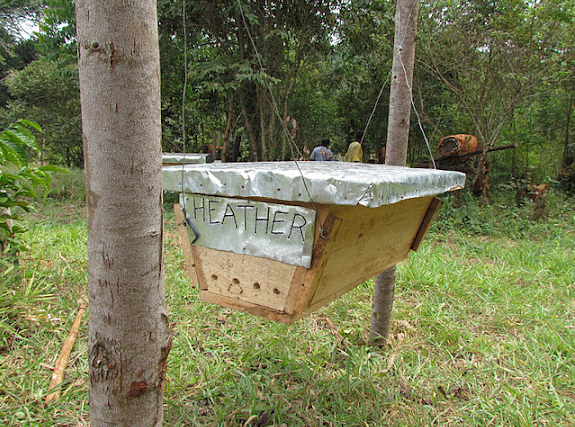 Beehive_03