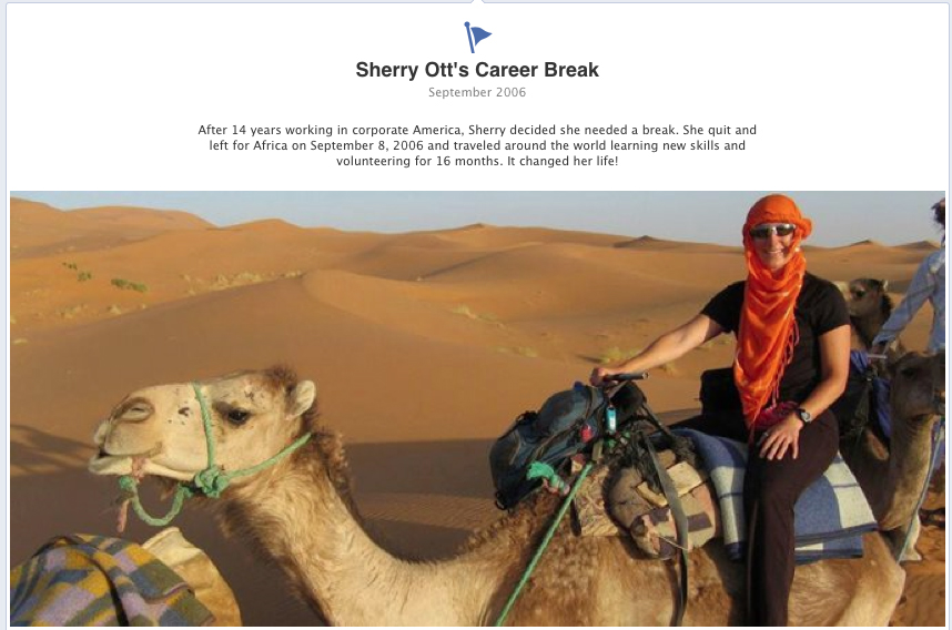 Sherry Ott's Career Break
