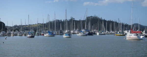 sailboats