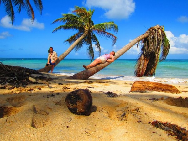 little corn island
