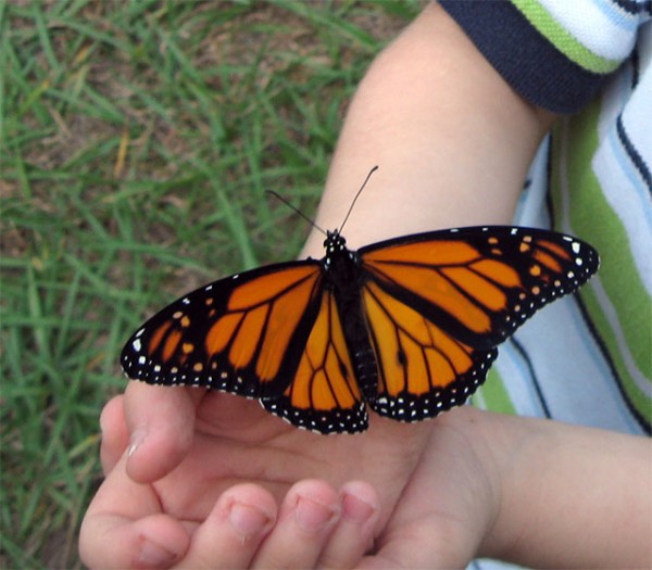 Conservation