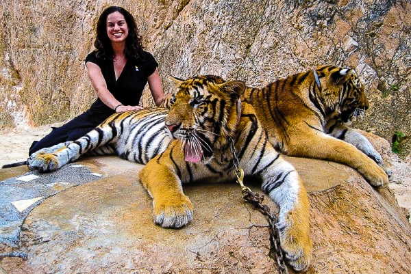 Lillie Tiger Temple