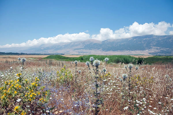 Beautiful Bekaa Valley, photo by Go Erin Go