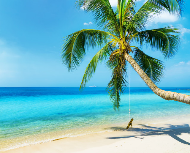 paradise