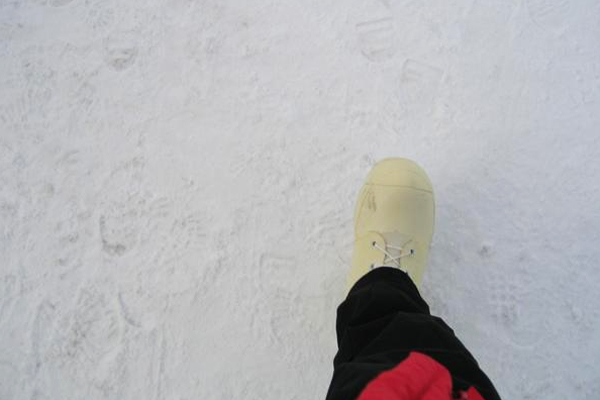 Antarctica