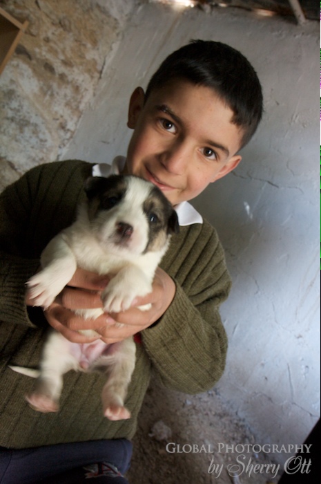 boy and puppy